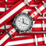 Official Government of Canada Issue Flag Lapel Pin image