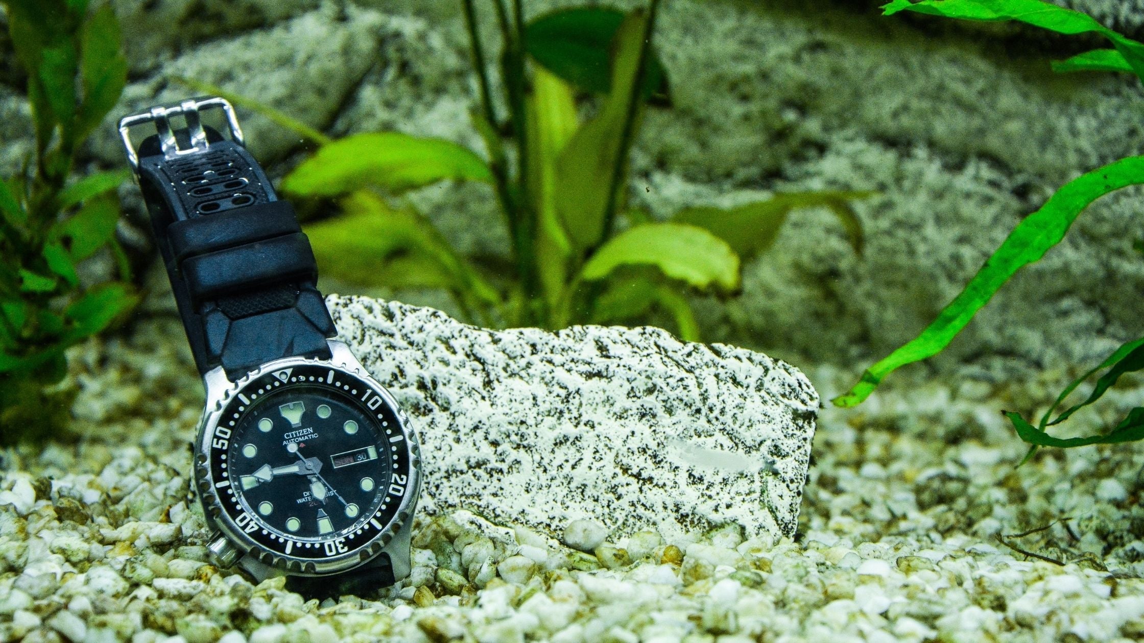 Top Dive Watches Compared: Marathon vs Hamilton vs Rolex image