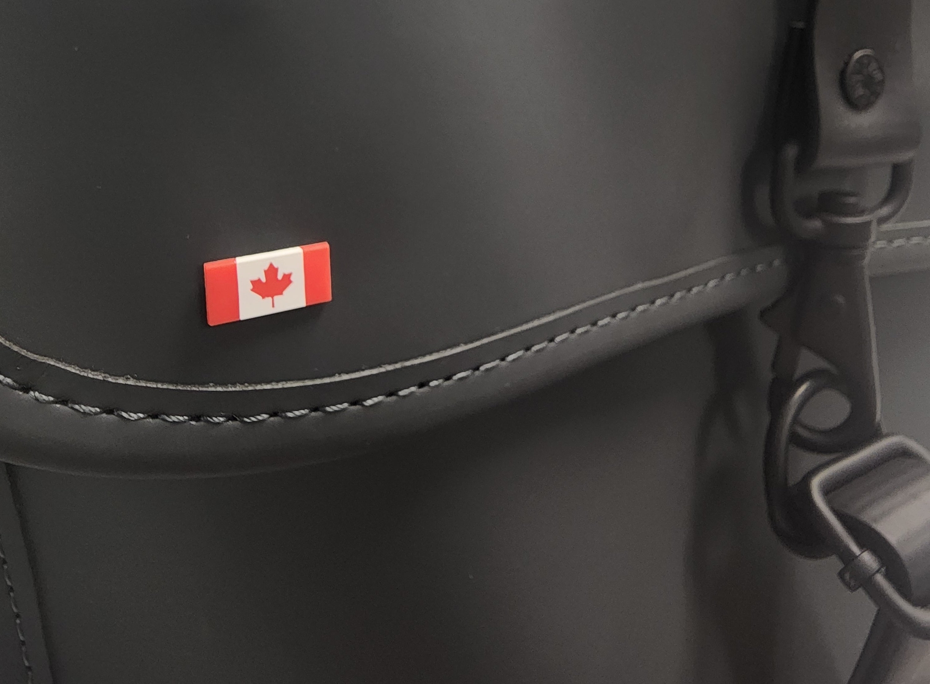 Official Government of Canada Issue Flag Lapel Pin image