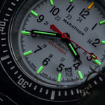 41mm Arctic Edition Large Diver's Automatic (GSAR) image
